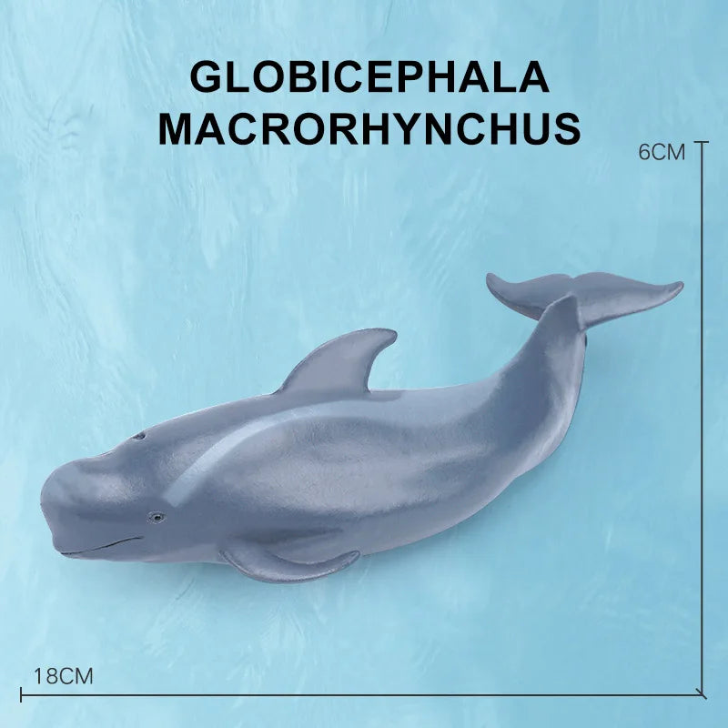 Simulation Marine Sea Life Whale Figurines Shark Cachalot Action Figures Ocean Animal Model Dolphin Hammerhead Educational Toys