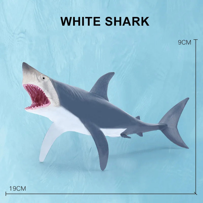 Simulation Marine Sea Life Whale Figurines Shark Cachalot Action Figures Ocean Animal Model Dolphin Hammerhead Educational Toys