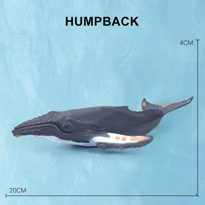 Simulation Marine Sea Life Whale Figurines Shark Cachalot Action Figures Ocean Animal Model Dolphin Hammerhead Educational Toys