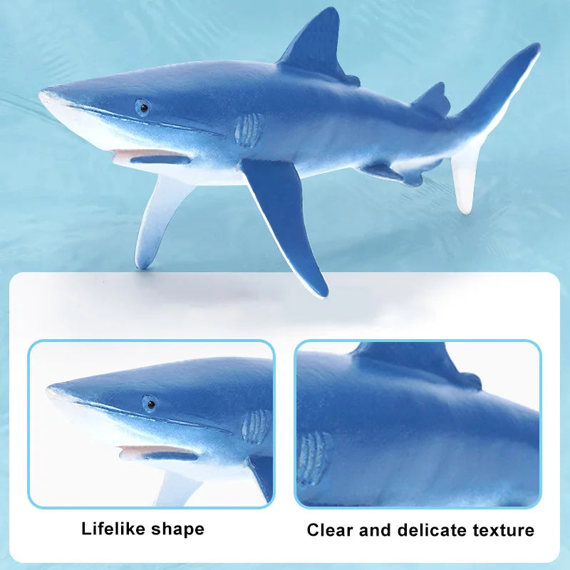 Simulation Marine Sea Life Whale Figurines Shark Cachalot Action Figures Ocean Animal Model Dolphin Hammerhead Educational Toys