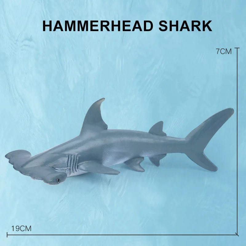 Simulation Marine Sea Life Whale Figurines Shark Cachalot Action Figures Ocean Animal Model Dolphin Hammerhead Educational Toys