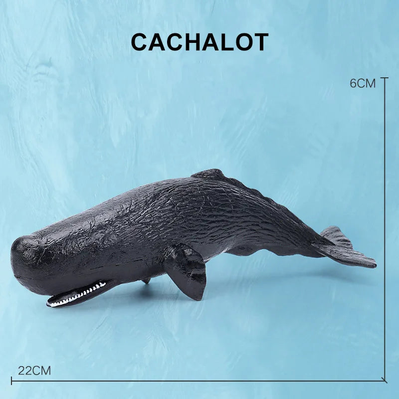Simulation Marine Sea Life Whale Figurines Shark Cachalot Action Figures Ocean Animal Model Dolphin Hammerhead Educational Toys