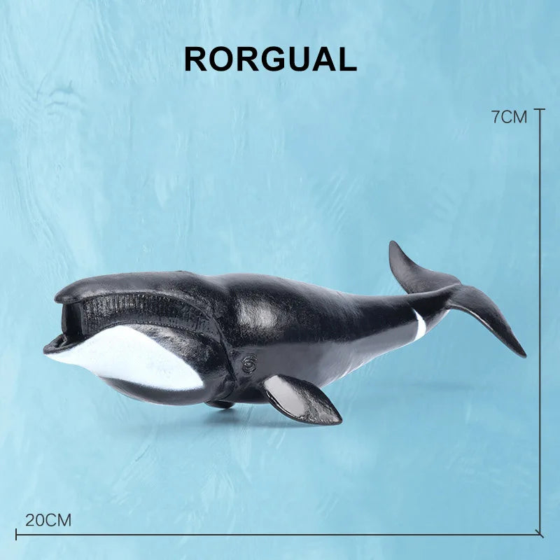 Simulation Marine Sea Life Whale Figurines Shark Cachalot Action Figures Ocean Animal Model Dolphin Hammerhead Educational Toys