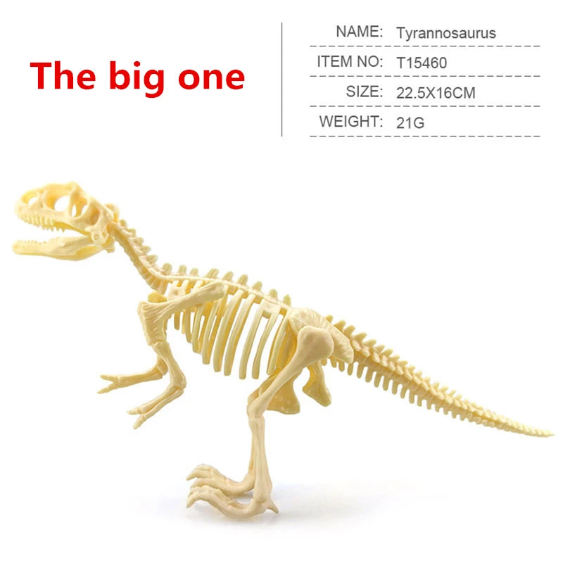 12pcs/set Jurassic Dinosaurs Skeleton Model Archaeology Tyrannosaurus Pterosaur Home Decor Toys For Children Christmas Gifts