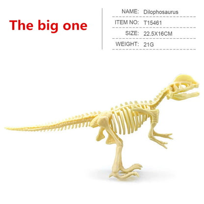 12pcs/set Jurassic Dinosaurs Skeleton Model Archaeology Tyrannosaurus Pterosaur Home Decor Toys For Children Christmas Gifts