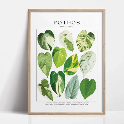 1pc Green Botanical Leaves Interior Art Print Houseplants Nature Indoors Canvas Wall Home Decor Calming Poster Foliage and Plant