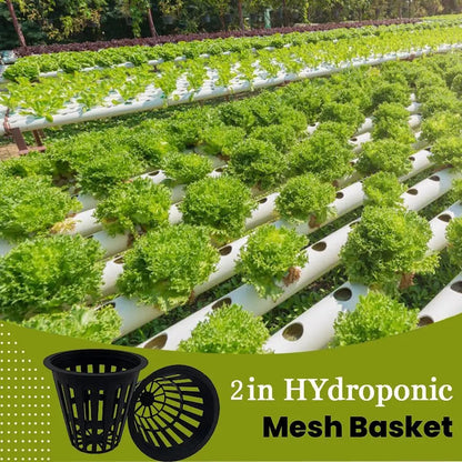 50/100Pcs 2 Inch Heavy Duty Net Pots Hydroponic Cups Garden Slotted Mesh Net Cups Plant Nursery Net Pots for Hydroponics