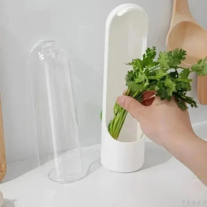 Vanilla Dust-proof Vegetable Fresh-keeping Box Anti-pressure Eco-Friendly Fresh-Keeping Device Creative Kitchen Storage Solution