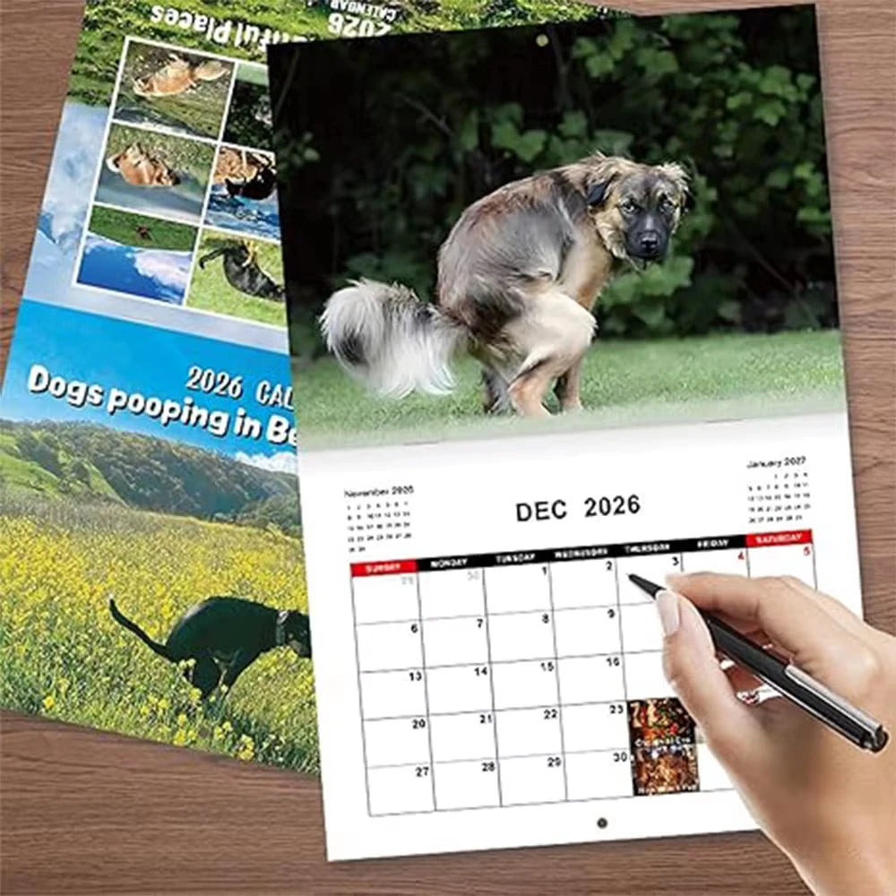 Calendar 2026 Dogs Pooping in Beautiful Places Funny Gag Gifts Thick Paper Wall Calendar Christmas Home Decor Planning Organizer