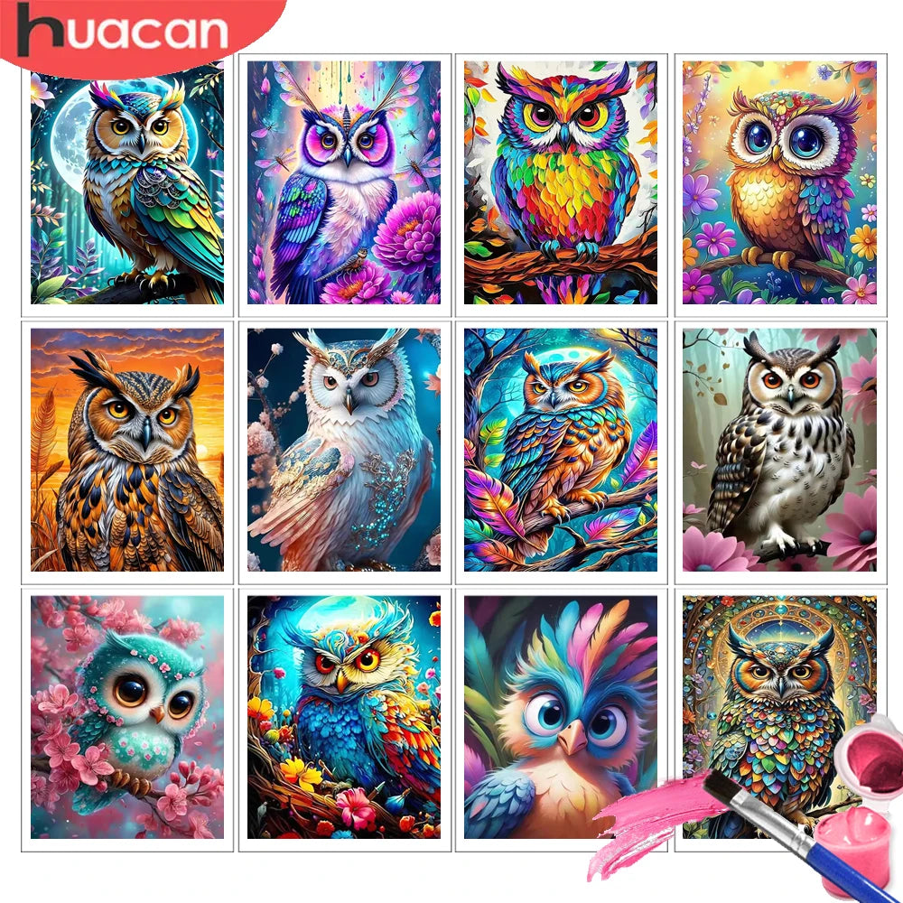 HUACAN Owl Animal Painting By Numbers On Canvas Flower Coloring On Canvas By Adult Pictures Drawing Art Kits Home Decor Gift