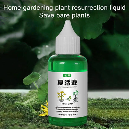 Flower Fruit Plant Nutrient Solution 50ml Outdoor Soil Growing Plant Food Promotes Healthy & Strong Growth For Gardenia Orchid