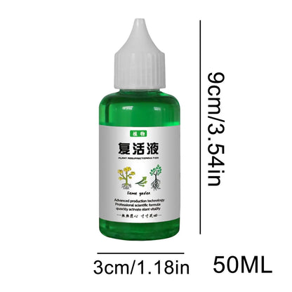 Flower Fruit Plant Nutrient Solution 50ml Outdoor Soil Growing Plant Food Promotes Healthy & Strong Growth For Gardenia Orchid