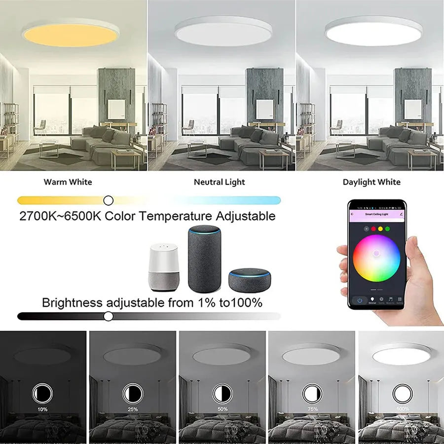 24W Tuya Ceiling Light Wifi Bluetooth AC85-265V RGB WW CW Living room  Decoration LED Lamp Smart life APP with Alexa Google Home