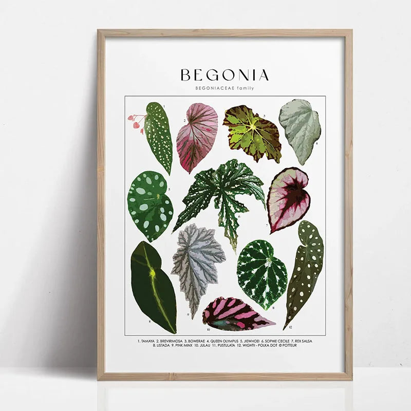 1pc Green Botanical Leaves Interior Art Print Houseplants Nature Indoors Canvas Wall Home Decor Calming Poster Foliage and Plant