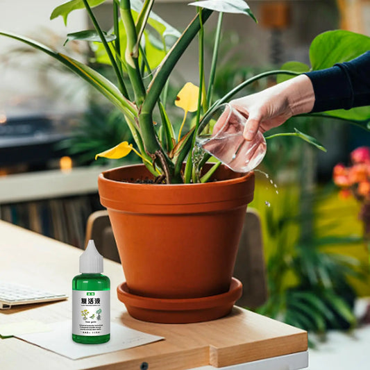 Flower Fruit Plant Nutrient Solution 50ml Outdoor Soil Growing Plant Food Promotes Healthy & Strong Growth For Gardenia Orchid