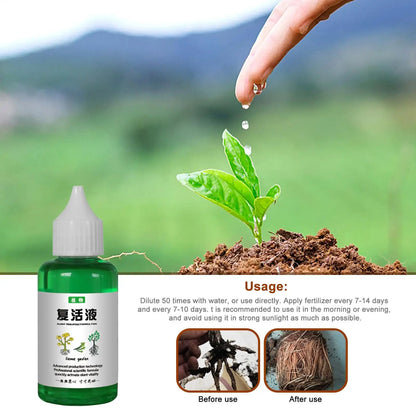 Flower Fruit Plant Nutrient Solution 50ml Outdoor Soil Growing Plant Food Promotes Healthy & Strong Growth For Gardenia Orchid