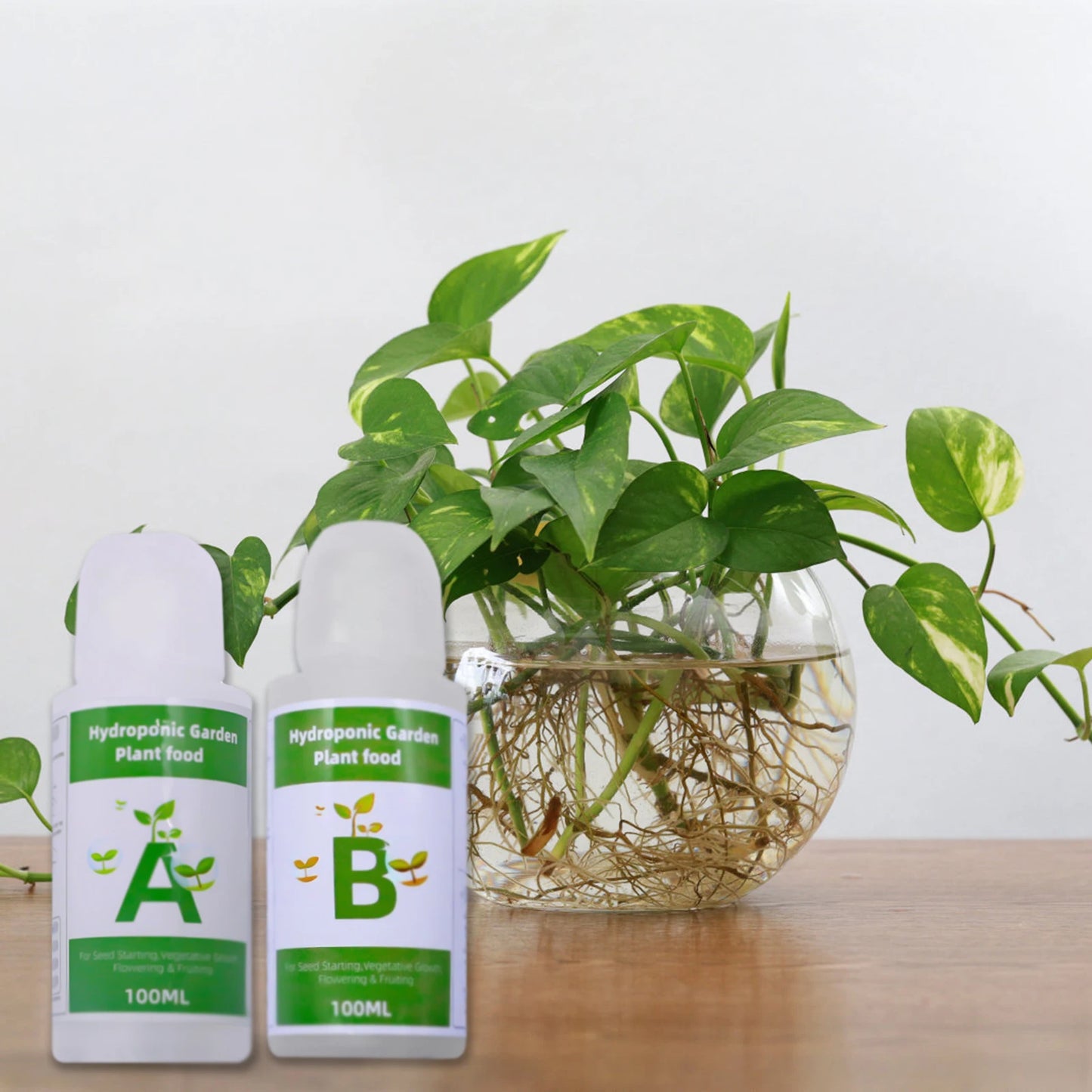 Hydroponic Nutrients Fertilizer AB Solution Set Hydroponic Garden Plant Food Plant Fertilizer For Flowers Vegetables Nutrients