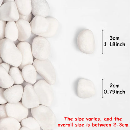 0.66Lb High Polished Natural Pebbles for Fish Tank Aquarium, Plant Vases, Courtyard Garden Landscape & Horticultural Decoration