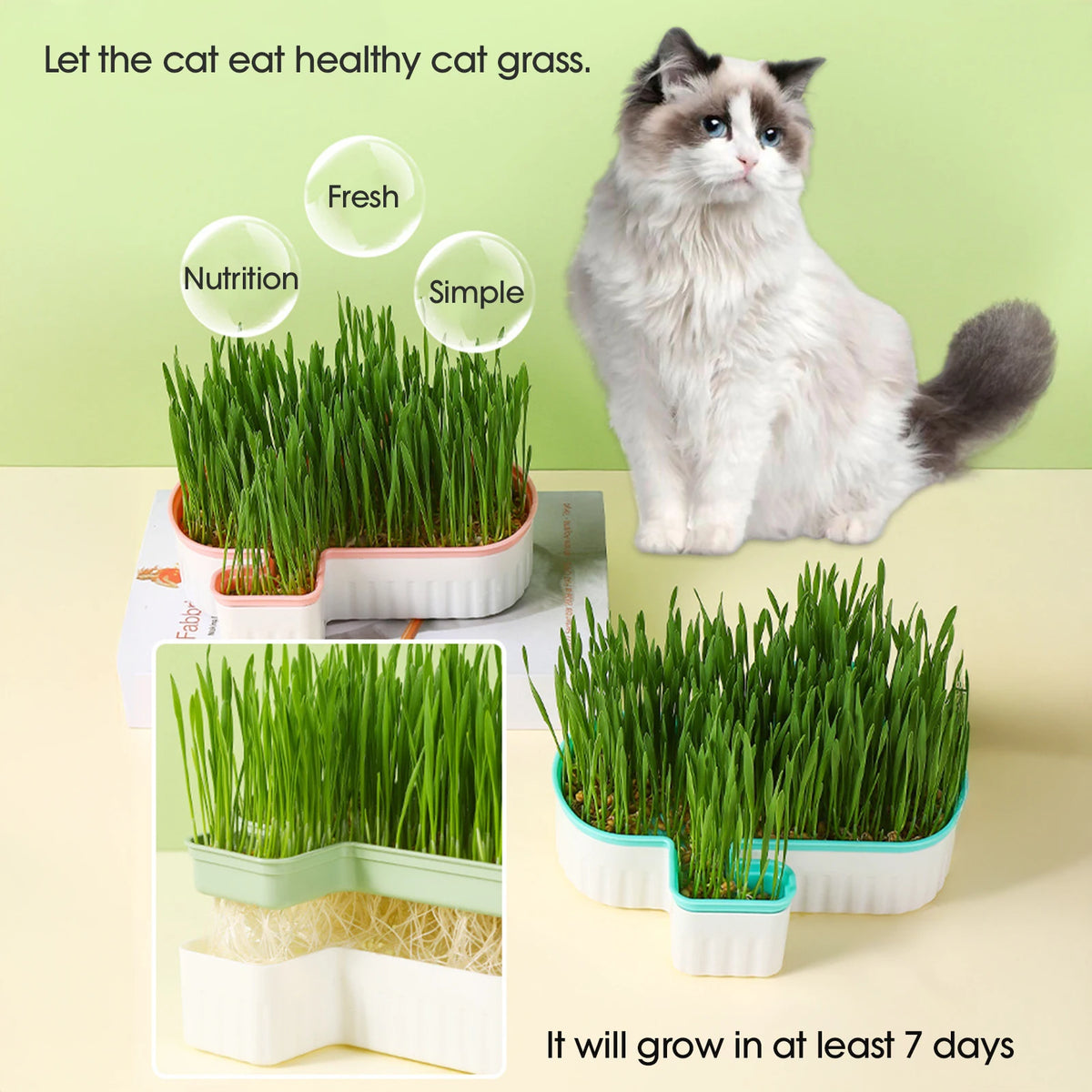 Cat Grass Nursery Pots Planter Soilless Hydroponic boxes Grass Planting Kit Nursery Box for Cats Pet Accessories