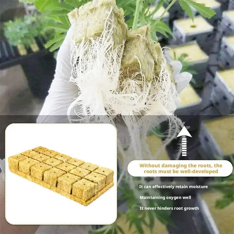 Agricultural Rock Wool Hydroponic Planting Block Water Retention And Aeration Ventilative Hydroponics Seed Seedling 50/100pcs